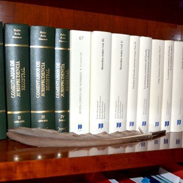 NOTARY IGNACIO PEREZ-OLIVARES DELGADO conjunto de libros